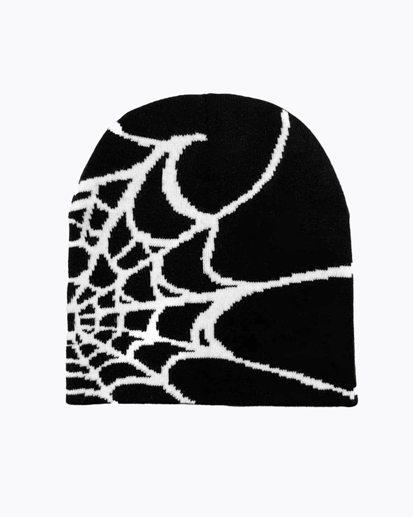 Spider Web Beanie