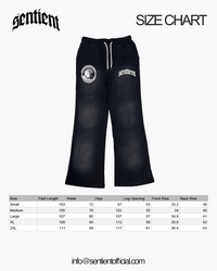 Brainwashed Trackpants