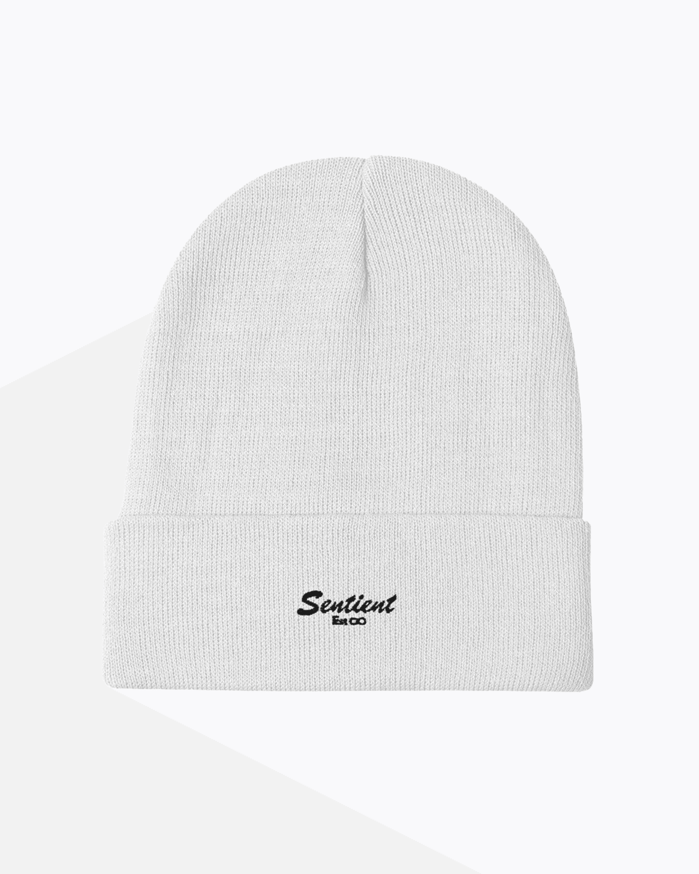 Embroidered est infinity Beanie - Sentient Official