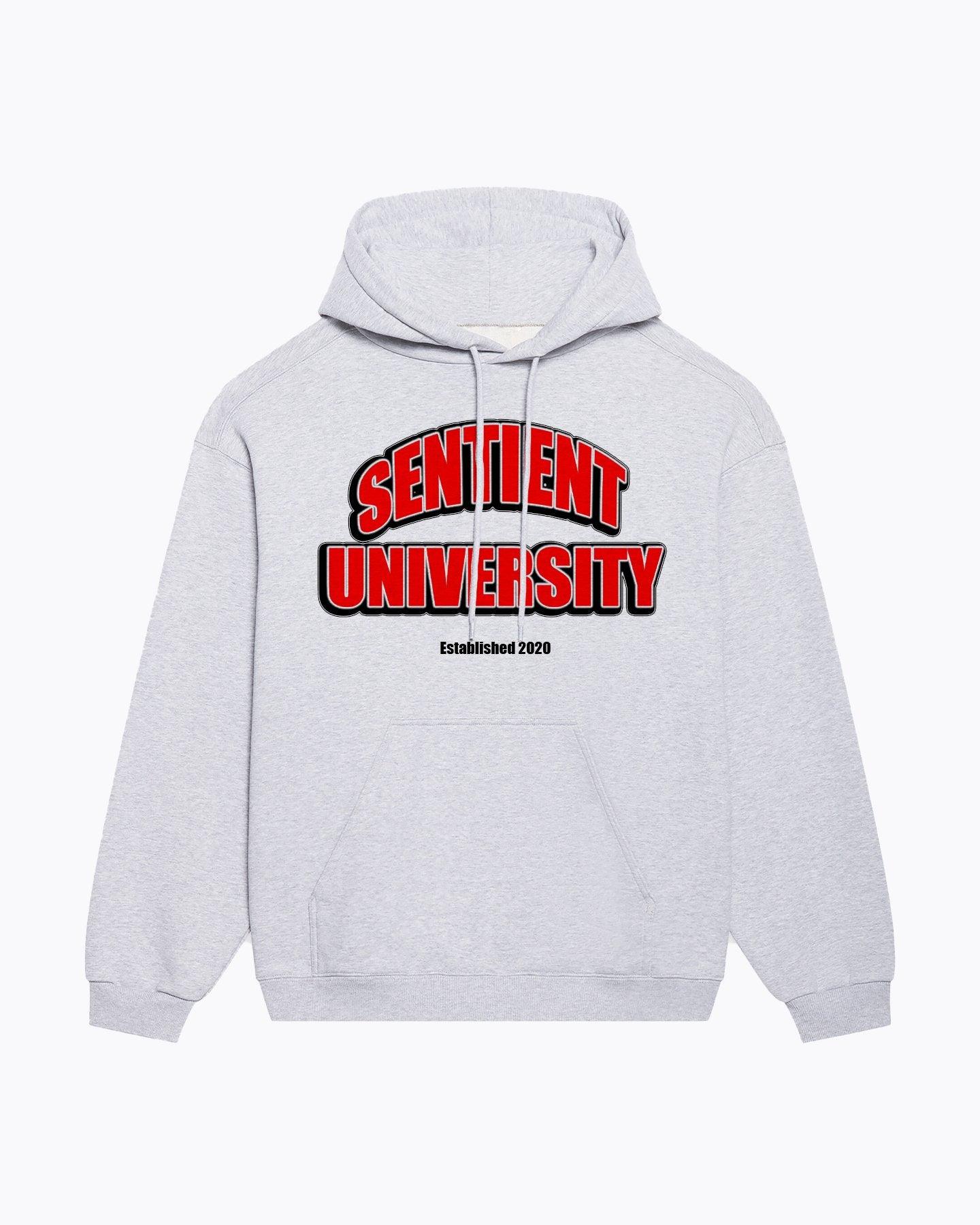 Sentient Official - Sentient University Hoodie - Grey Edition.  Hoodie