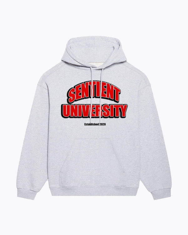 Sentient University Hoodie - Sentient Official